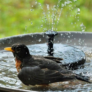 Solar Bird Bath Fountain（Buy 2 Free Shipping）